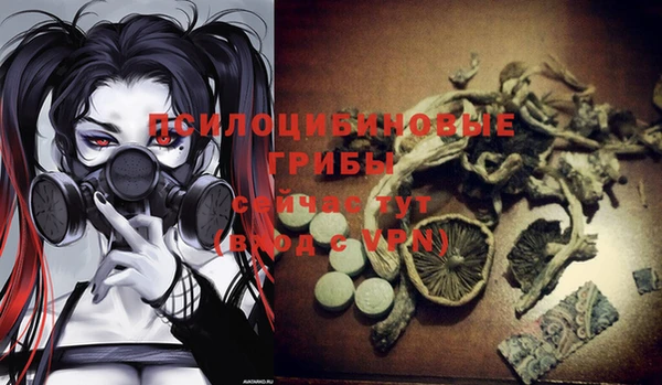 МДПВ Заволжье
