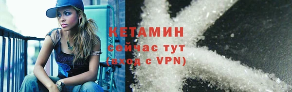 стафф Заводоуковск