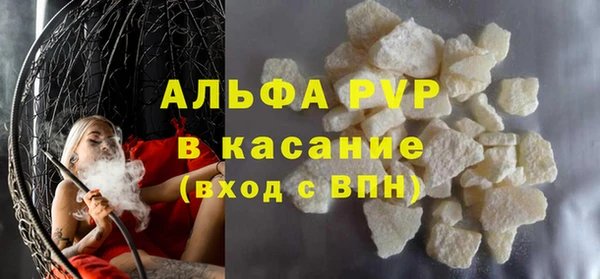 ГАЛЛЮЦИНОГЕННЫЕ ГРИБЫ Сясьстрой