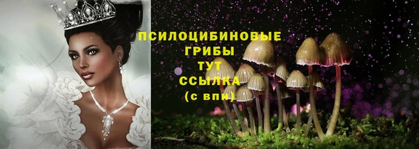 стафф Заводоуковск